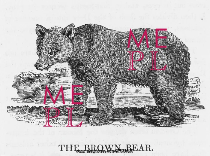 : BEWICK BROWN BEAR : BEWICK BROWN BEAR