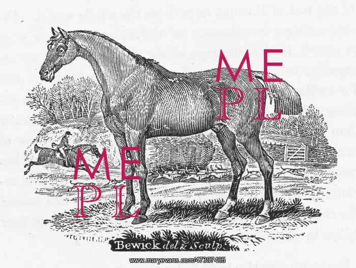 : BEWICK HUNTER HORSE : BEWICK HUNTER HORSE