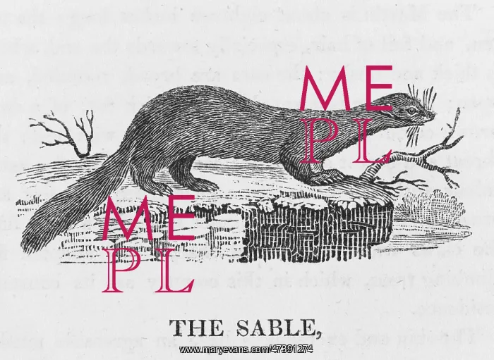 : BEWICK / SABLE : BEWICK / SABLE