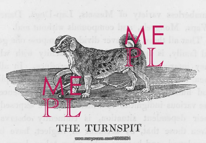 : BEWICK - TURNSPIT : BEWICK - TURNSPIT