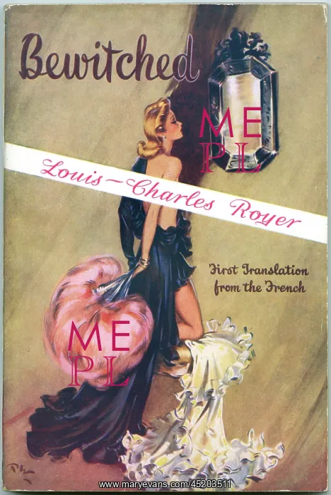 : Bewitched book front cover by David Wright : Bewitched book front cover by David Wright