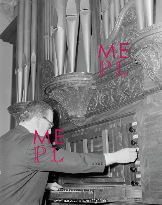 : Bexley Danson Mansion Damson Organ, Bexley : Bexley Danson Mansion Damson Organ, Bexley
