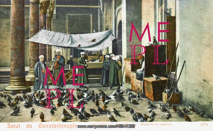 : The Beyazidiye Mosque with pigeons, Constantinople : The Beyazidiye Mosque with pigeons, Constantinople