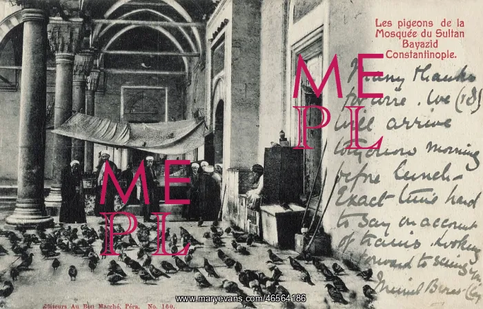 : The Beyazidiye Mosque with pigeons, Constantinople : The Beyazidiye Mosque with pigeons, Constantinople