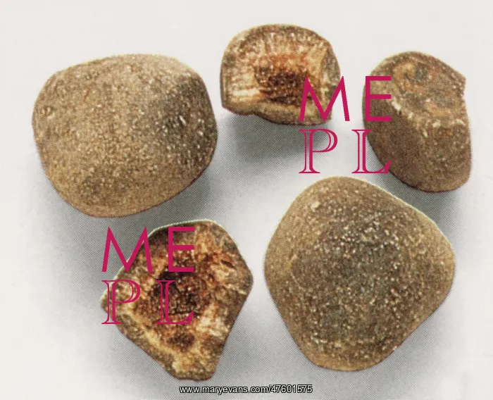 : Bezoar Stones : Bezoar Stones