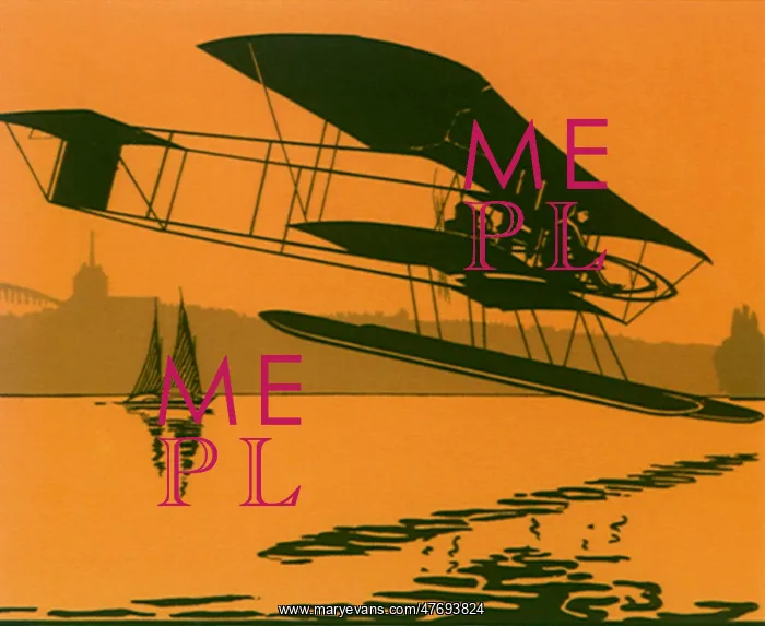  : Bi-Plane with Pontoons