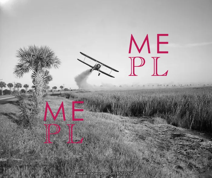 : A bi-plane is spraying DDT insecticide during ? : A bi-plane is spraying DDT insecticide during ?