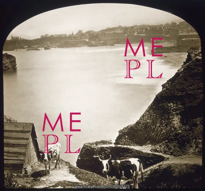  : BIARRITZ / BAY C1900