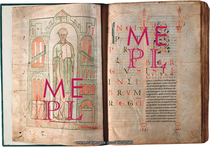 : Bible commentaries by the Admont monk Irimbert : Bible commentaries by the Admont monk Irimbert
