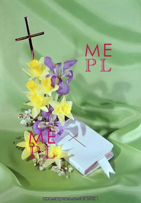 : Bible, Cross and Spring Flowers : Bible, Cross and Spring Flowers