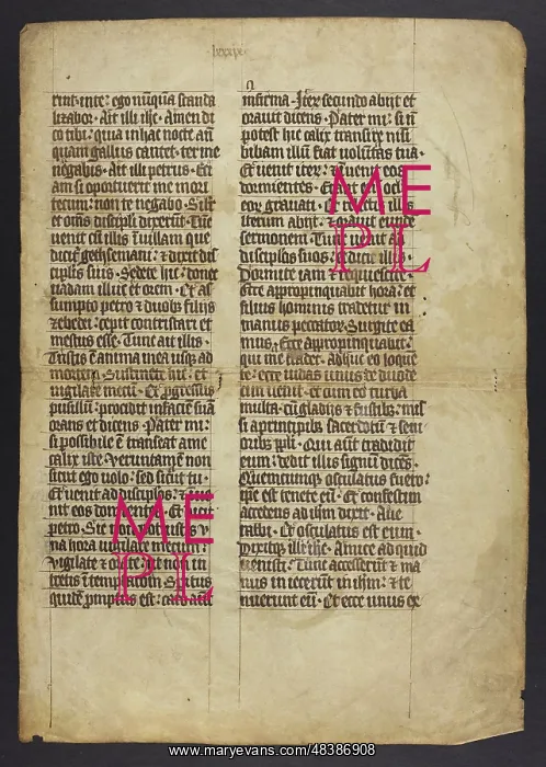 : Bible (Fragment) : Bible (Fragment)