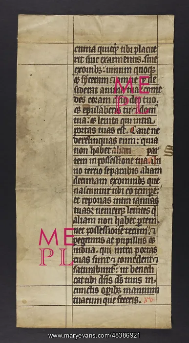  : Bible (Fragment)