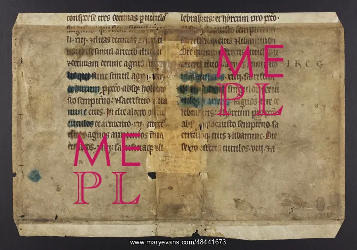 : Bible (Fragment) : Bible (Fragment)