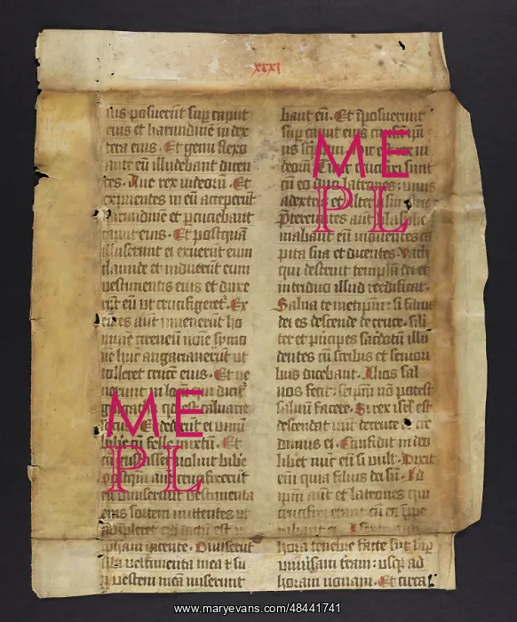 : Bible (Fragment) : Bible (Fragment)
