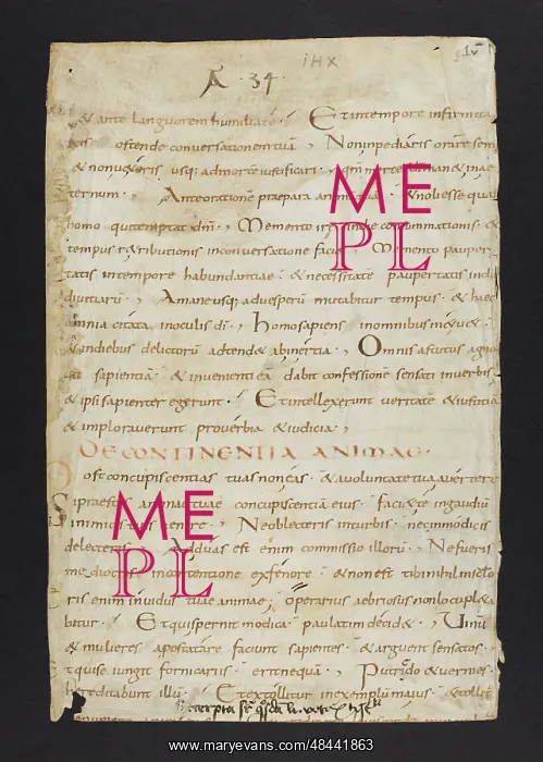 : Bible (Fragment) : Bible (Fragment)