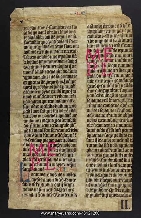 : Bible (Fragments) : Bible (Fragments)