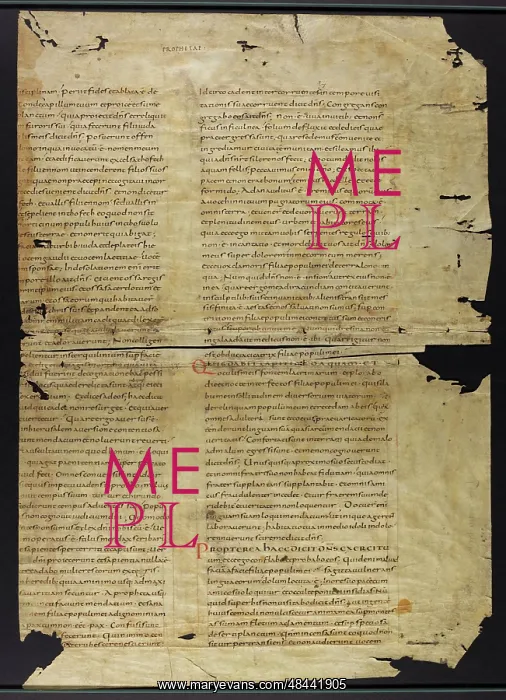 : Bible (Fragments) : Bible (Fragments)