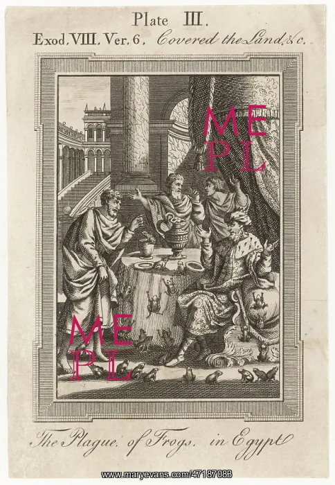  : BIBLE / PLAGUE / EGYPT / FROGS