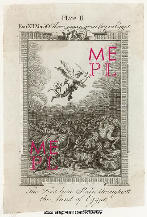  : BIBLE / PLAGUE / FIRST BORN