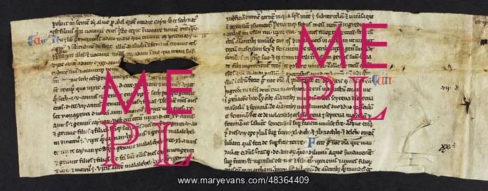 : Biblical Commentary (Fragment) : Biblical Commentary (Fragment)
