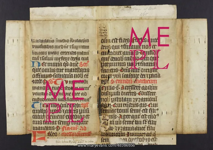 : Biblical Commentary (Fragment) : Biblical Commentary (Fragment)