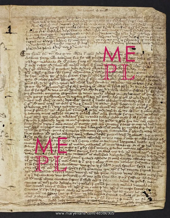 : Biblical Commentary (Fragment) : Biblical Commentary (Fragment)