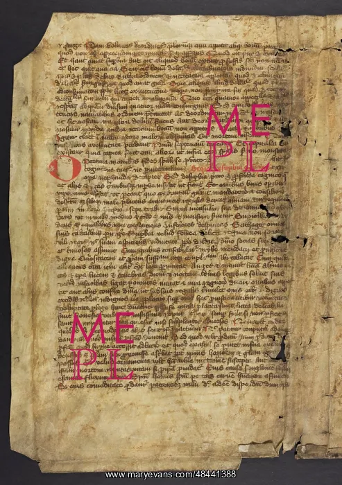: Biblical Commentary (Fragment) : Biblical Commentary (Fragment)