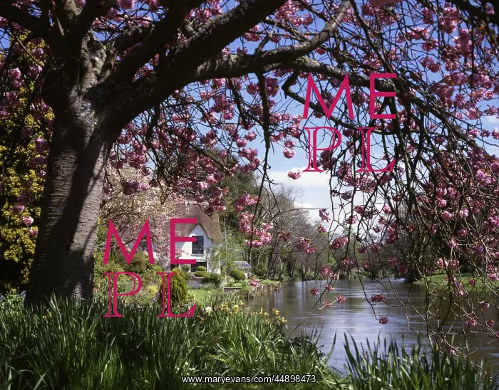  : Bickleigh Cottage on the River Exe, Devon