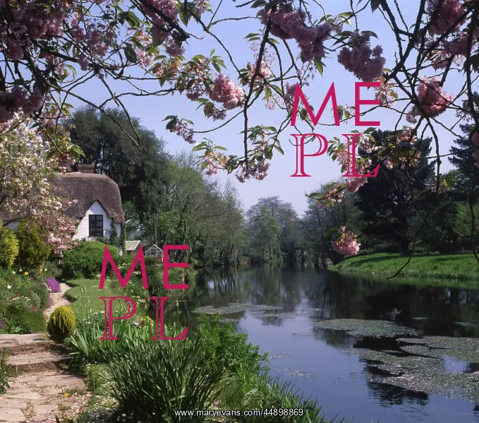  : Bickleigh Cottage on the River Exe, Devon