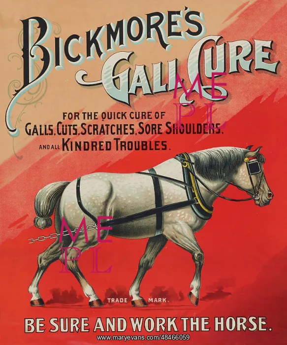 : Bickmore's gall cure for horses : Bickmore's gall cure for horses