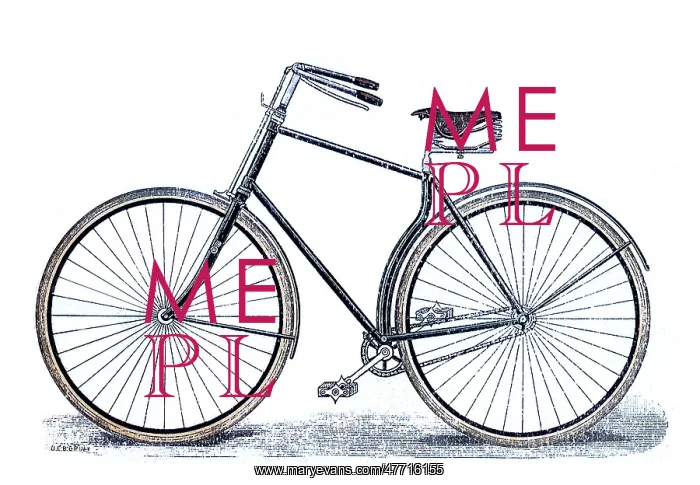  : Bicycle with Options