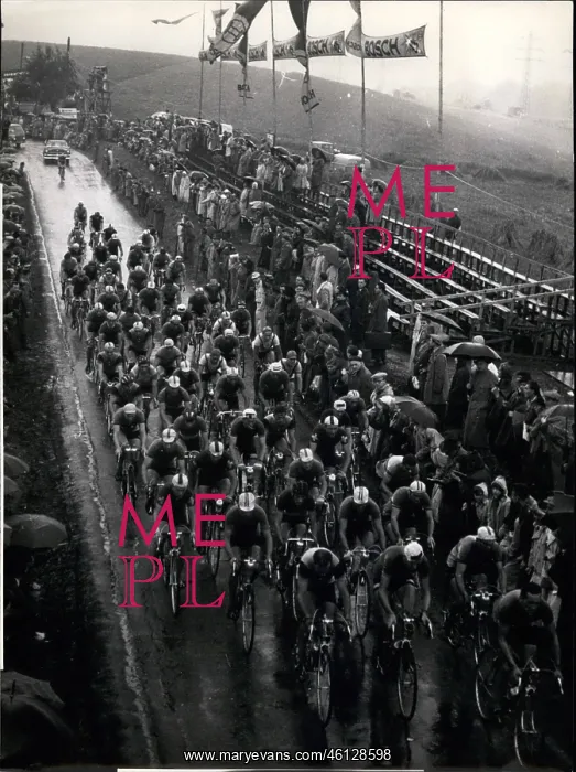 : Bicycles - Cycling : Bicycles - Cycling