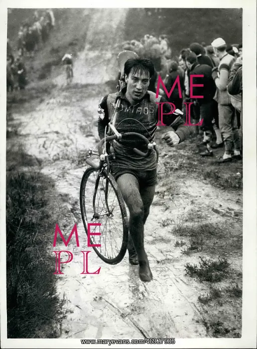 : Bicycles - Cycling : Bicycles - Cycling