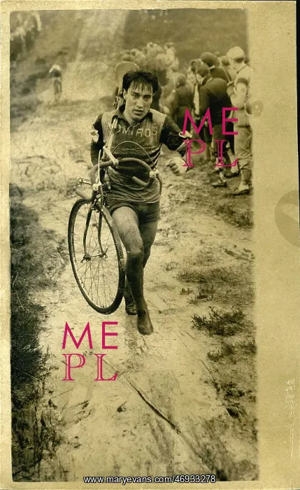 : Bicycles - Cycling : Bicycles - Cycling