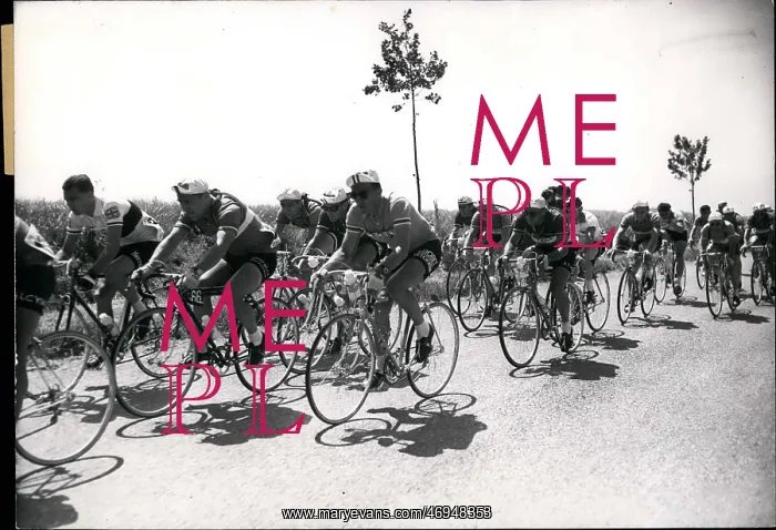 : Bicycles - Cycling : Bicycles - Cycling