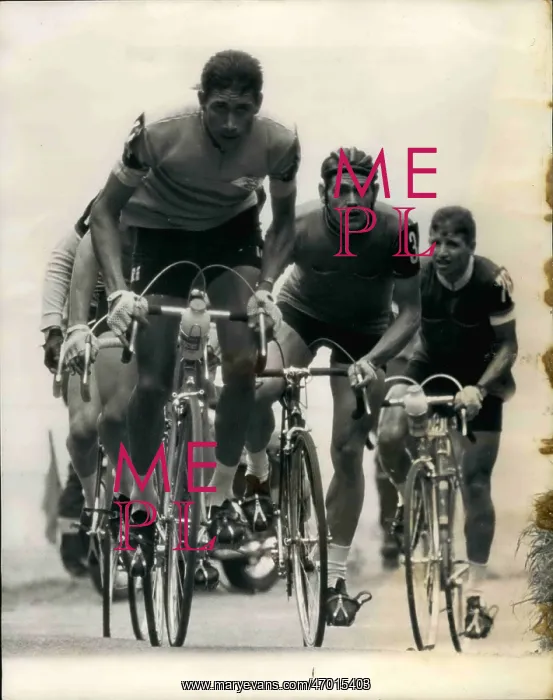: Bicycles - Cycling : Bicycles - Cycling