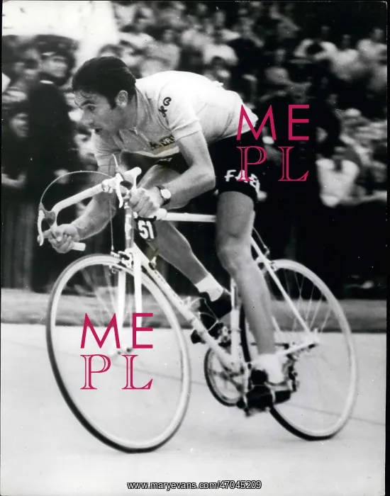 : Bicycles - Cycling : Bicycles - Cycling