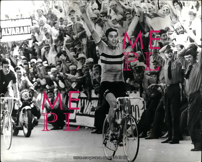: Bicycles - Cycling : Bicycles - Cycling