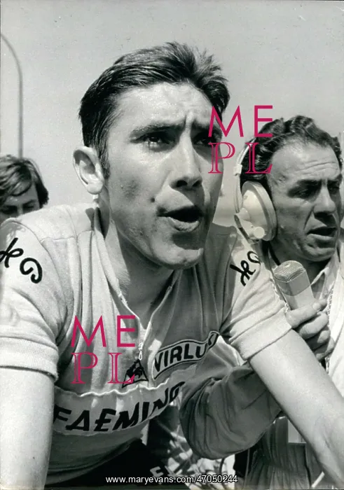: Bicycles - Cycling : Bicycles - Cycling