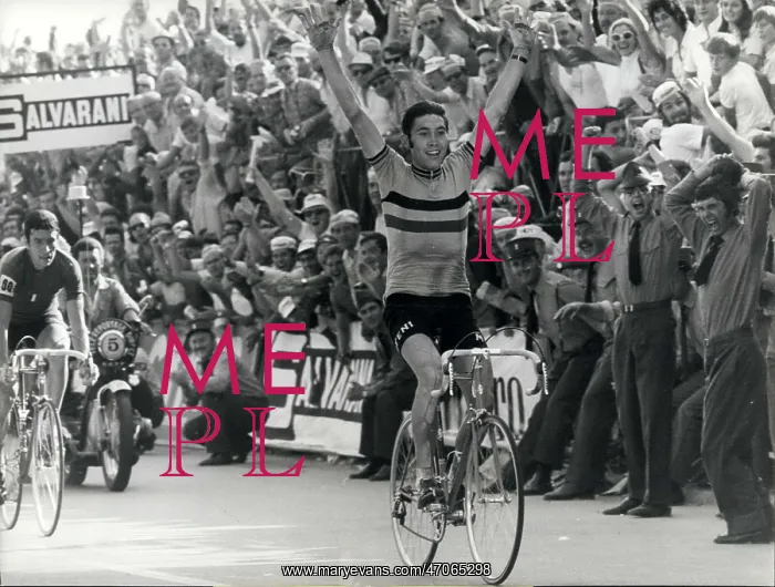 : Bicycles - Cycling : Bicycles - Cycling