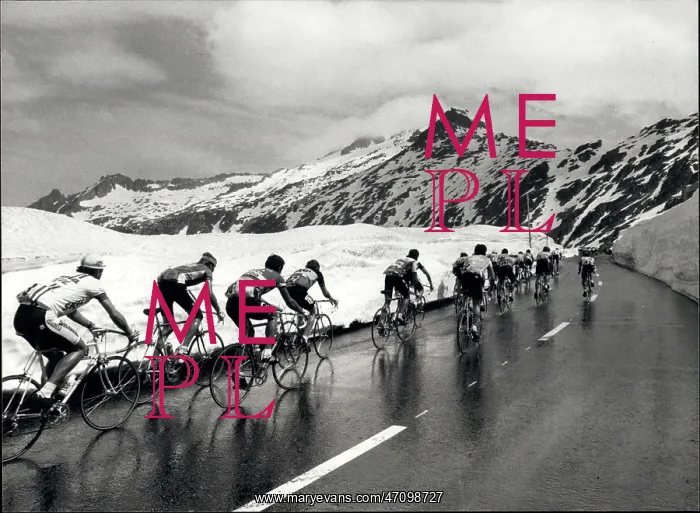 : Bicycles - Cycling : Bicycles - Cycling