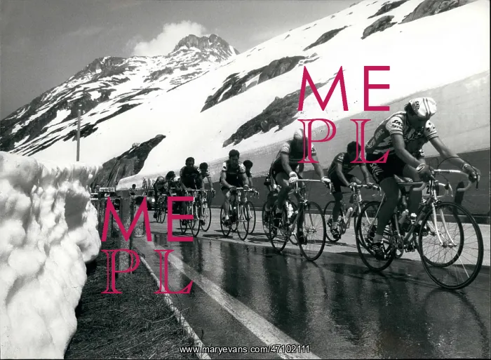 : Bicycles - Cycling : Bicycles - Cycling