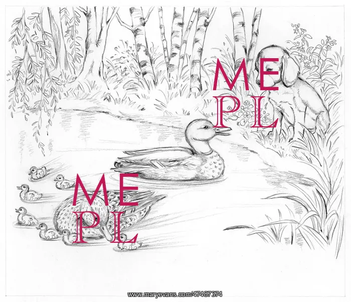 : Biddy Finds a Hare : Biddy Finds a Hare