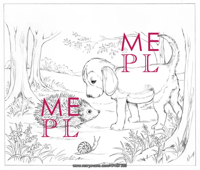 : Biddy Finds a Hare : Biddy Finds a Hare