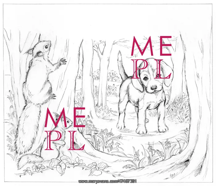 : Biddy Finds a Hare : Biddy Finds a Hare