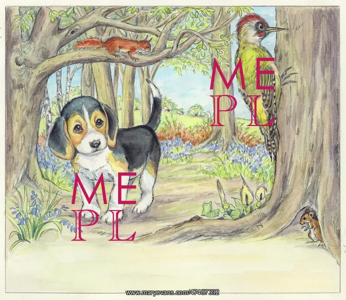 : Biddy Finds a Hare : Biddy Finds a Hare