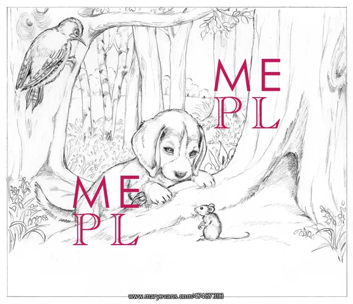 : Biddy Finds a Hare : Biddy Finds a Hare