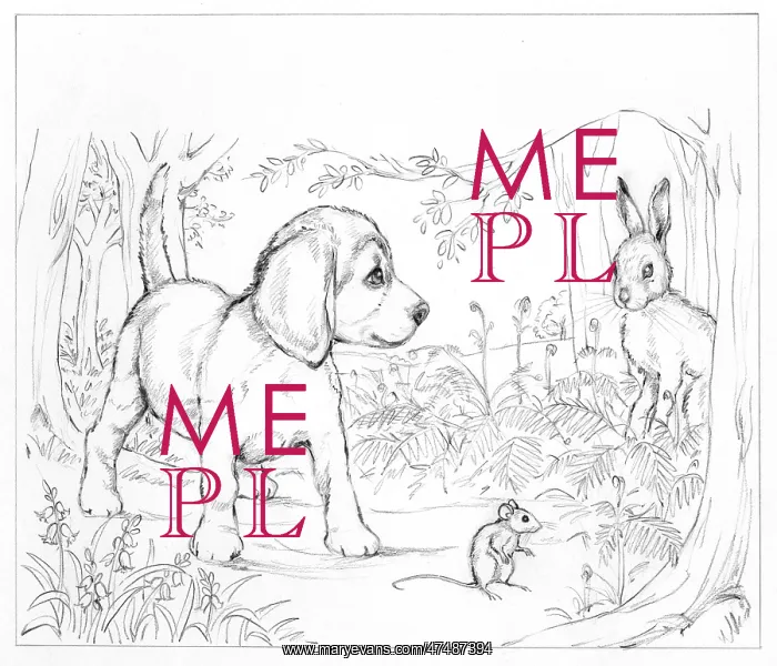 : Biddy Finds a Hare : Biddy Finds a Hare
