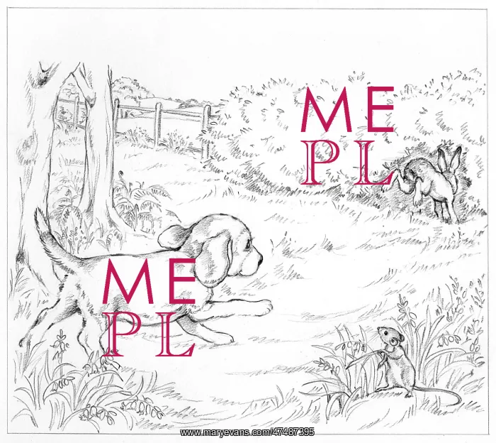 : Biddy Finds a Hare : Biddy Finds a Hare