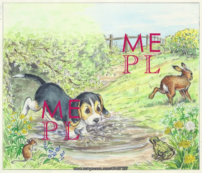 : Biddy Finds a Hare : Biddy Finds a Hare